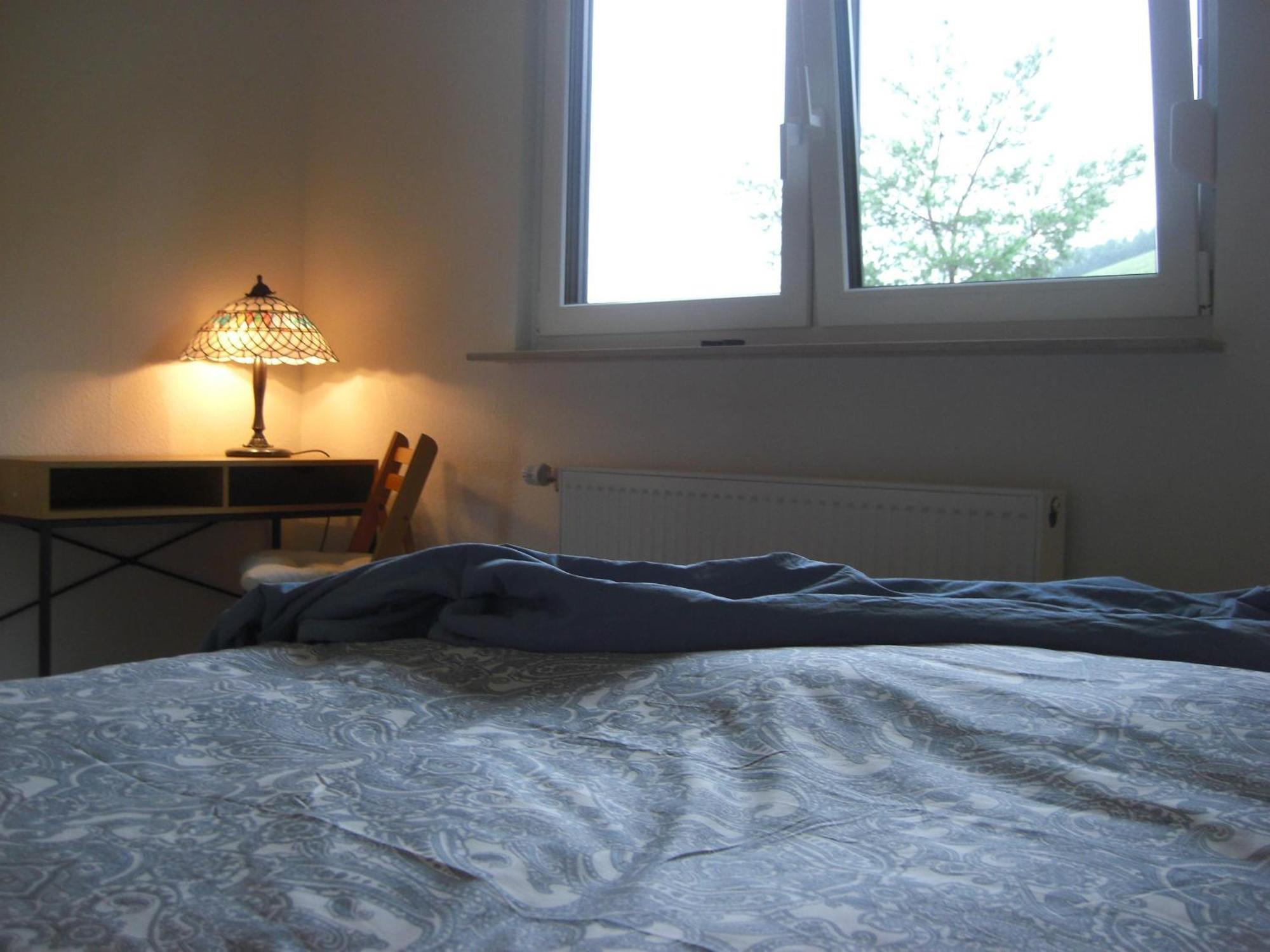זארבורג Ferienwohnung Alter Weinberg מראה חיצוני תמונה
